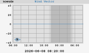 Wind Vector
