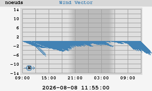 Wind Vector